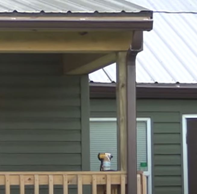 Seamless gutters Maumelle AR